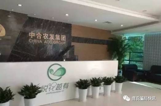 悦花越有涉嫌犯罪已移送审查起诉!悦天使会员还执迷不悟