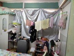 我在深圳南山写代码:是在改变天下照旧养家生计