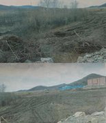 <b>黑龙江萝北:七旬老人私自开荒植树该不该给予补偿?</b>