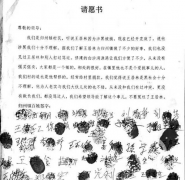 <b>辽宁营口：“黑老大”为何能引2000余村民为其喊冤?</b>