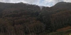 <b>行政违法被确认，千万投资未获赔，西双版纳营商环境遭质疑</b>