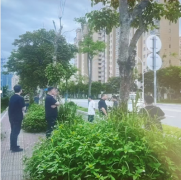 百姓评议国法岂能沦为空谈?举报反遭报复，谁来为我